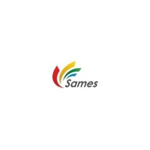 Sames : Analyse de la cartographie des flux de production